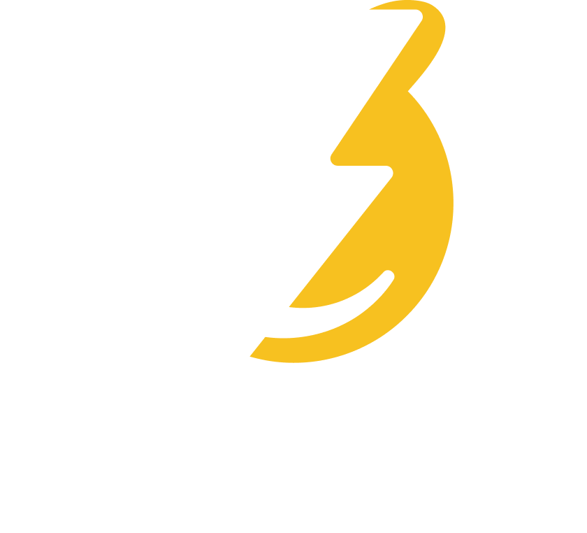 Lowbolt Logo